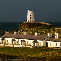 Buy canvas prints of Twr Mawr Lighthouse and Pilots Cottages, Anglesey by Nigel Wilkins