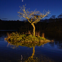 Buy canvas prints of Rydal Water, Lake District by Nigel Wilkins