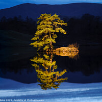 Buy canvas prints of Isolation - A Lone Tree on a small island by Nigel Wilkins