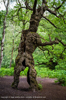 Click to show how this picture will look as a piece of wall art
