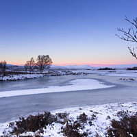 Buy canvas prints of Rannoch Moor Winter by Nigel Wilkins