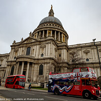Buy canvas prints of St Paul's Cathedral by Nigel Wilkins