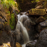 Buy canvas prints of Hidden Waterfall by Nigel Wilkins