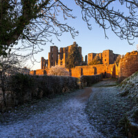 Buy canvas prints of Kenilworth Castle by Nigel Wilkins