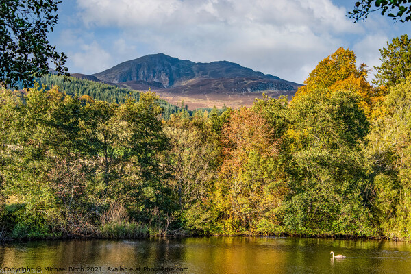 Majestic Ben Vrackie Autumn View Picture Board by Michael Birch