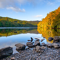 Buy canvas prints of Golden Autumn Reflections Fascally Loch by Michael Birch