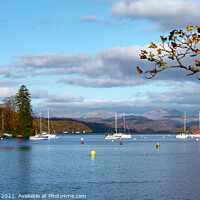 Buy canvas prints of Serene Autumn Scene at Lake Windermere by Michael Birch