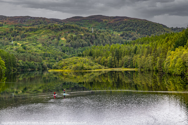 Serene Paddle Boarding Adventure on Faskally Loch Picture Board by Michael Birch
