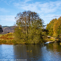 Buy canvas prints of Serene Beauty of Autumn White Moss Tarn by Michael Birch