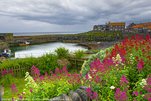 Majestic Storm Over Craster Harbour Picture Board by Michael Birch