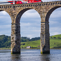 Buy canvas prints of Train crossing the Royal Border Bridge by Michael Birch