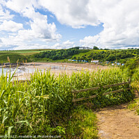 Buy canvas prints of Majestic Path to Coldingham Bay by Michael Birch