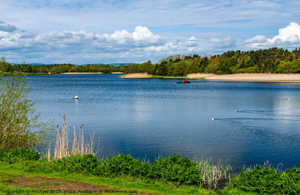 DRURIDGE BAY COUNTRY PARK Picture Board by Michael Birch