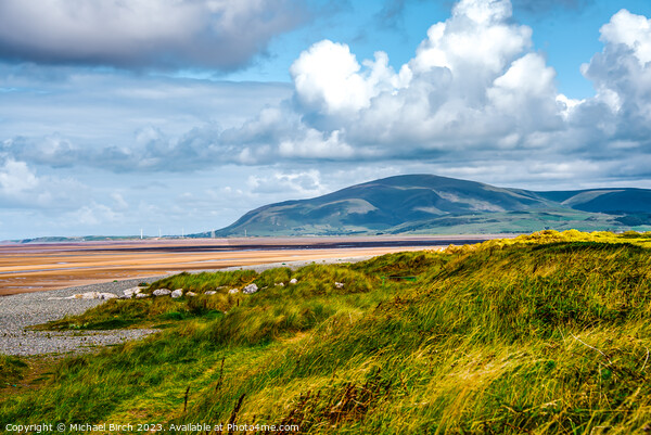 View of Blackcombe from Walney Island Picture Board by Michael Birch