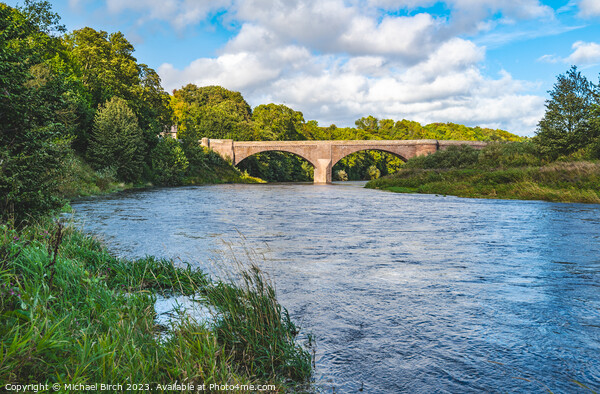 BRIDGE over RIVER TWEED  Picture Board by Michael Birch