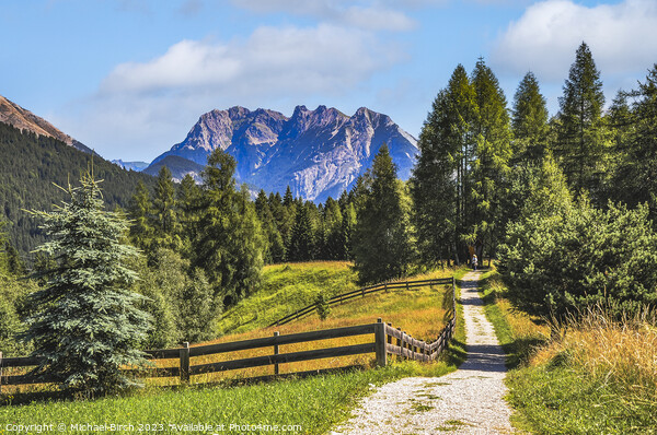A WALK IN THE TYROL Picture Board by Michael Birch
