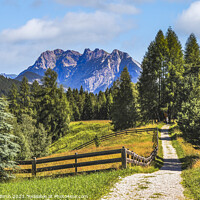 Buy canvas prints of A WALK IN THE TYROL by Michael Birch