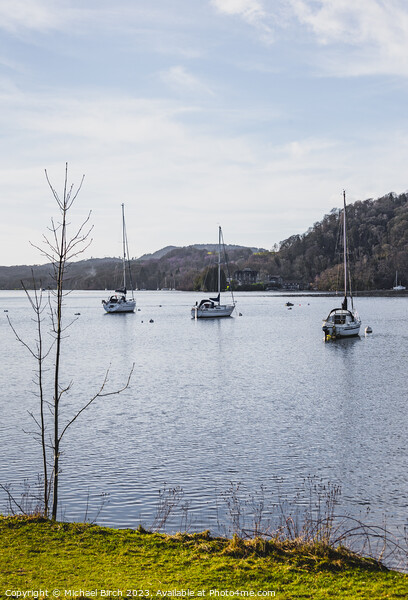 YACHTS MOORED AT FELL FOOT WINDERMERE Picture Board by Michael Birch