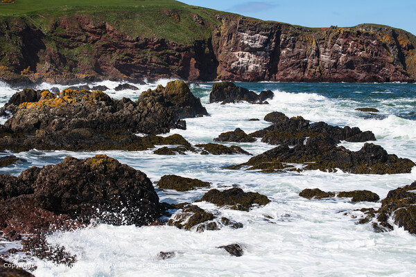 Saint Abbs Waves and Rocks Picture Board by Michael Birch