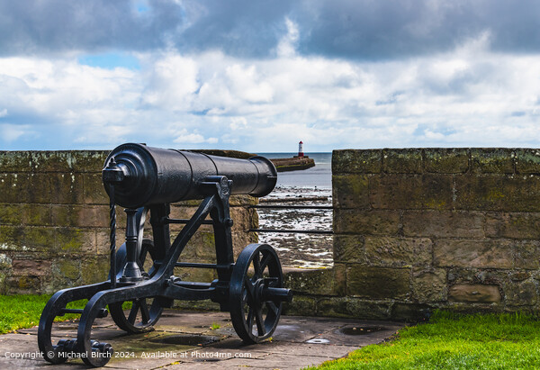 Ancient Cannon Overlooking Berwick Picture Board by Michael Birch
