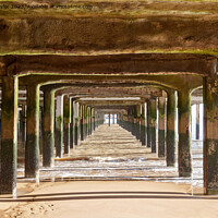 Buy canvas prints of Underneath the pier by Geoff Taylor