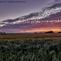 Buy canvas prints of Sunset over the fields by Geoff Taylor