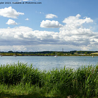Buy canvas prints of River Stour - Mistley Walls by Geoff Taylor