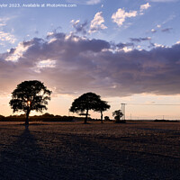 Buy canvas prints of Silhoueted trees at sunset by Geoff Taylor