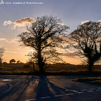 Buy canvas prints of Sunset behind the tress by Geoff Taylor