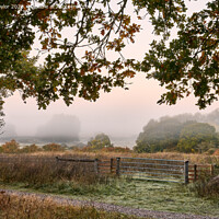 Buy canvas prints of Misty morning by Geoff Taylor