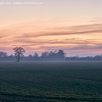 Buy canvas prints of Mist afterglow by Geoff Taylor