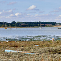 Buy canvas prints of River stour from Mistley Walls by Geoff Taylor