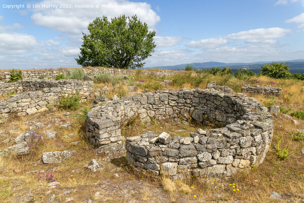 Roundhouse at San Cibrao de Las hill fort Picture Board by Ian Murray