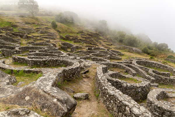 Archaeological site of Castro de Santa Trega, Galicia, Spain Picture Board by Ian Murray