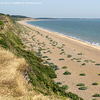 Buy canvas prints of Cliffs and beach Dunwich, Suffolk, England by Ian Murray