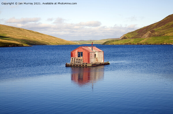 Fisherman's shed on small island, Olna Firth, Voe, Picture Board by Ian Murray