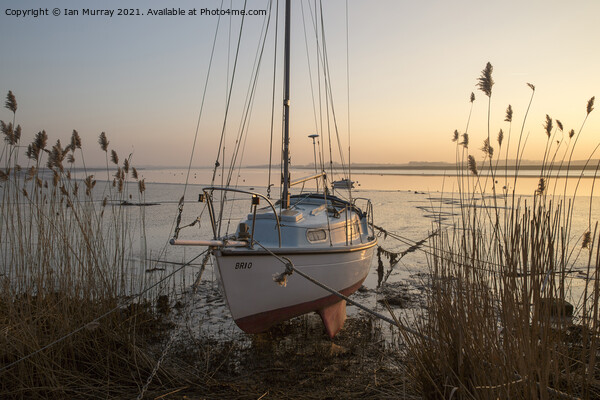 Yacht at moorings winter sunset, River Deben, Ramsholt, Suffolk, England, UK Picture Board by Ian Murray