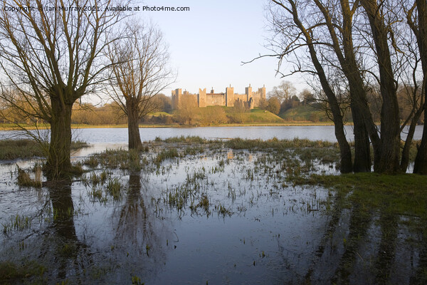 Framlingham Castle viewed over the Mere, Suffolk, England Picture Board by Ian Murray