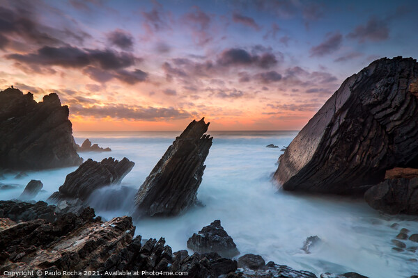 Rocky coastline in Sintra-Cascais natural park, Portugal Picture Board by Paulo Rocha