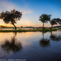 Buy canvas prints of Trees surrounded by water in a lake at sunset by Paulo Rocha