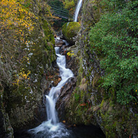Buy canvas prints of Moutain forest waterfall by Paulo Rocha