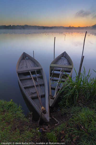 Boats at sunrise Picture Board by Paulo Rocha
