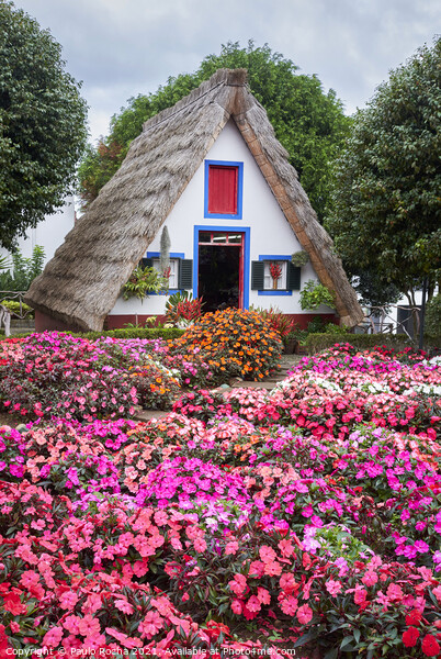 Folk House Santana village, Madeira. Picture Board by Paulo Rocha