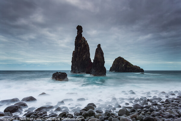 Sea stacks in Ribeira da Janela, Madeira island Picture Board by Paulo Rocha