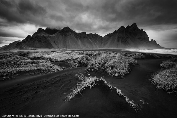 Vestrahorn - Stokksnes - Iceland Picture Board by Paulo Rocha