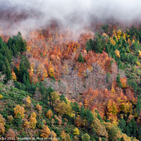 Buy canvas prints of Hillside colorful autumn landscape by Paulo Rocha