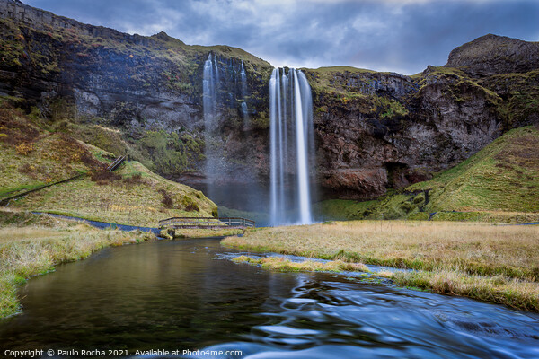 Seljalandsfoss waterfall in southern Iceland Picture Board by Paulo Rocha