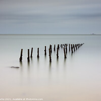 Buy canvas prints of Pillars in the water by Paulo Rocha
