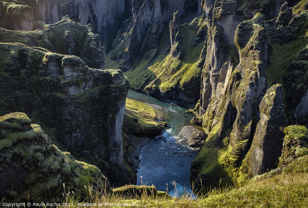 Fjadrargljufur canyon in Iceland Picture Board by Paulo Rocha