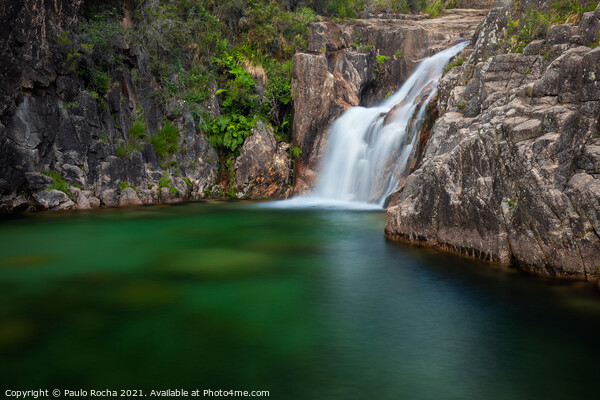 Waterfall in Gerês National Park Picture Board by Paulo Rocha